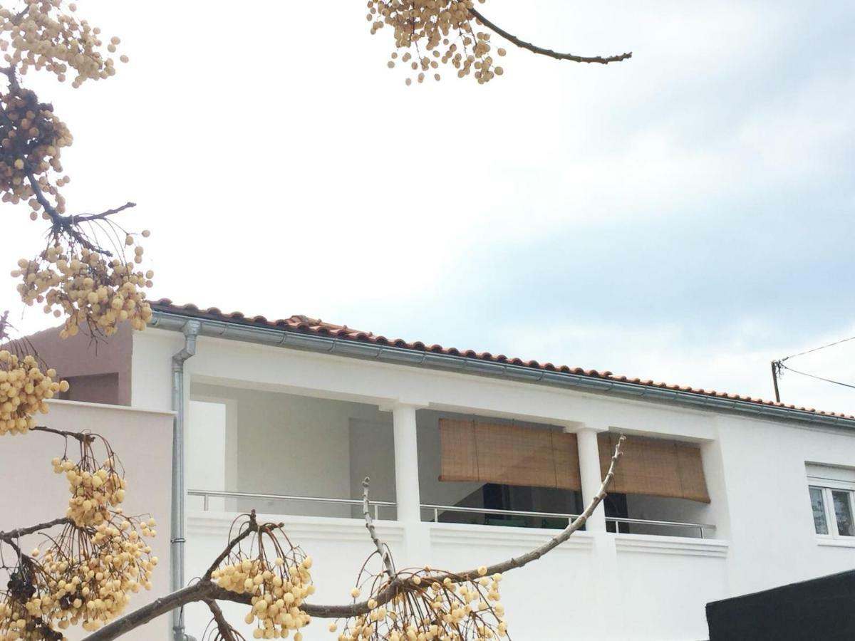 Apartman Luce Bibinje Exterior photo